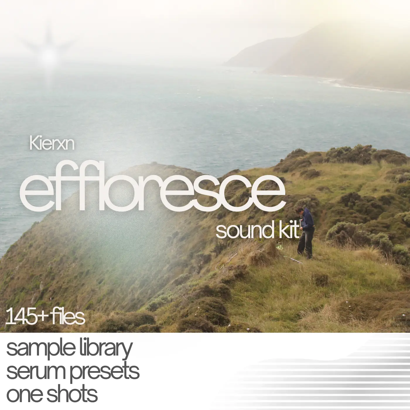 Effloresce - Production Suite
